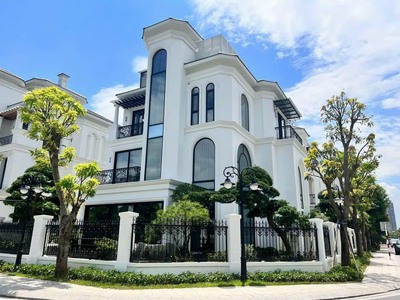 Chào đón Gia Lâm lên Quận Đã đơn lập lại GÓC Vinhomes Ocean Park 225m2 3