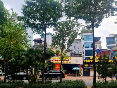 Chính chủ cho thuê căn hộ 2N1K tại phố chùa láng điện nước giá dân 2719