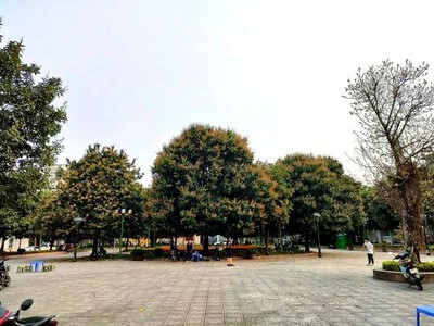 Chính chủ cho thuê căn hộ 2N1K tại phố chùa láng điện nước giá dân 2252