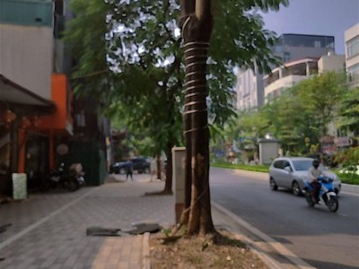 Chính chủ cho thuê căn hộ 2N1K tại phố chùa láng điện nước giá dân 2573
