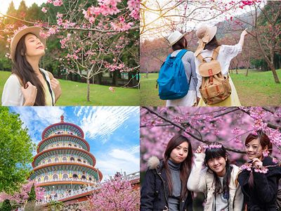 Tại sao nên đi du lịch Đài Loan vào mùa hoa anh đào 0