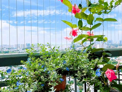 Bán căn góc penthouse 146m2 3pn chung cư lan phương trường thọ 2