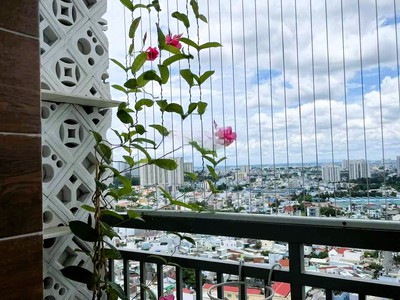 Bán căn góc penthouse 146m2 3pn chung cư lan phương trường thọ 3