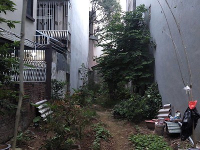 Có ít đồ gỗ trang trí và phôi chun đục tranh cần bán. Gỗ tốt 100% 2476