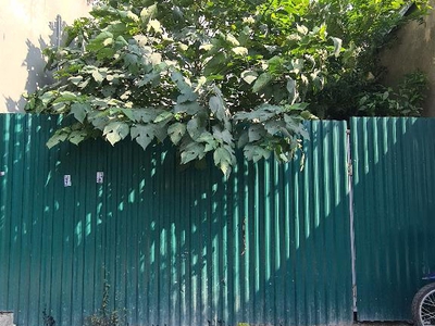 Bán đất mặt phố vọng,  căn góc, vị trí đỉnh, vỉa hè rộng, kinh bất chấp, 80m, mt 5.6m, 24.7 tỷ 0