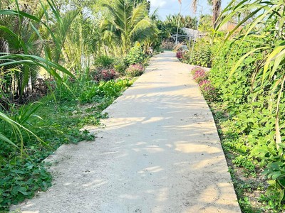 Chính chủ bán nhanh 03 lô đất liền kề tại mang thít, vĩnh long 3