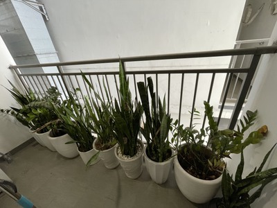 Cho Thuê Căn Hộ 3 Ngủ Full Đồ Dự Án Hera 6