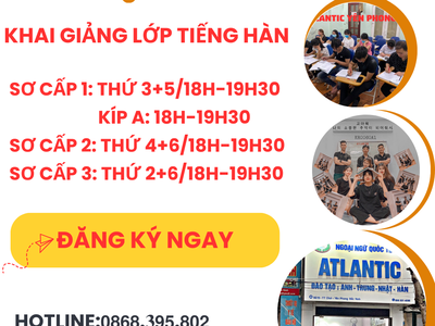 Có ít đồ gỗ trang trí và phôi chun đục tranh cần bán. Gỗ tốt 100% 4962