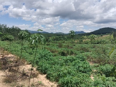 Chính chủ bán lô đất đẹp tại xã hòa bình, thành phố kon tum 3
