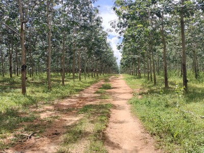 Chính chủ bán lô đất đẹp tại xã hòa bình, thành phố kon tum 4