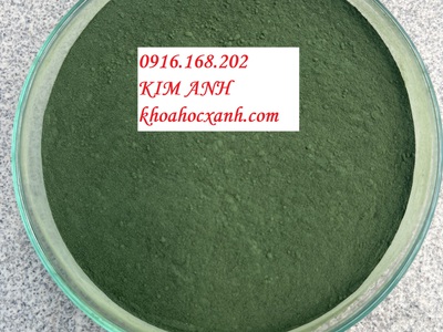 SPIRULINA POWDER   Bột tảo tự nhiên 100 Spirulina platensis 0