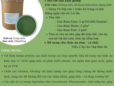 SPIRULINA POWDER   Bột tảo tự nhiên 100 Spirulina platensis 1
