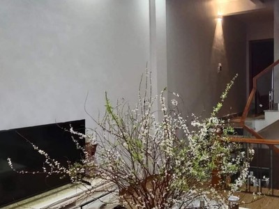 Bán nhà mặt đường Nguyễn Công Hòa, vị trí đẹp, kinh doanh tốt 4