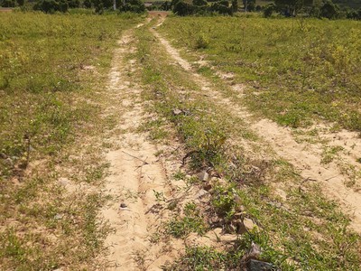 Hòa Thắng 1.100m2, cách DT716 100m, điện nước đầy đủ. 2