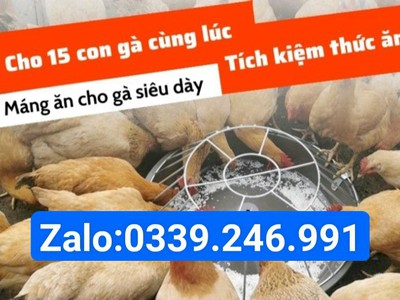 Máng ăn chống bới cho gà giá tốt 1