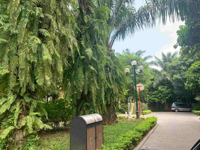 Biệt thự song lập Palm Garden Việt Hưng Cạnh Trường Marie Curie 210m2 1