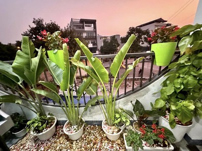 Giảm sâu 2.5 tỷ bán đất tặng nhà khu tđc thạch bàn, vỉa hè oto tránh, 4 tầng dân xây siêu đẹp, 90m2 3