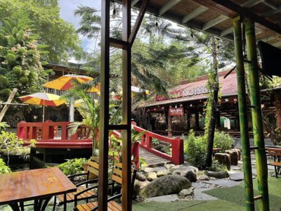 Sang quán robusta koi garden 0