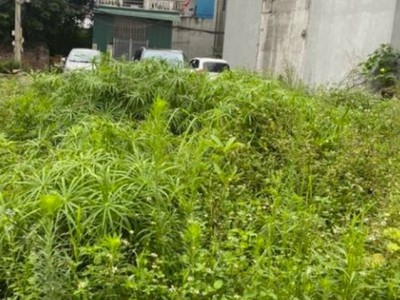 Phương nhị liên ninh ngõ nông rộng, gần ô tô tránh 40m  mt 3.6 m 1,x tỷ 0