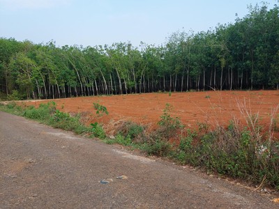 Cần tuyển nhân viên phụ gội đầu chưa biết được hướng dẫn có chỗ ăn ở 305