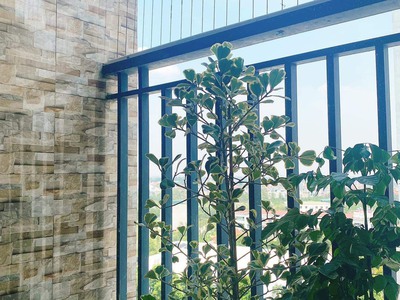 Bán căn góc 2 phòng ngủ chung cư Thanh Hà Cienco 5   76m2 chỉ 1,72 tỉ 2