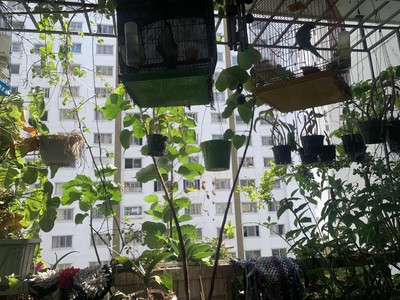 Định cư bán gấp căn hộ đường nguyễn văn linh chỉ có 2,75 tỷ nhà đẹp tặng full nội thất 105m2 , mua 4
