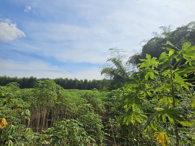 Cần tuyển nhân viên phụ gội đầu chưa biết được hướng dẫn có chỗ ăn ở 2816