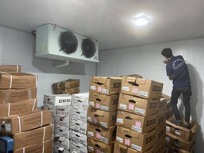 Kho lạnh bảo quản mực ống tươi ngon 1