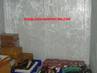 Kho lạnh bảo quản mực ống tươi ngon 0