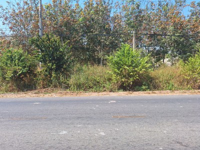 Mặt tiền dt749a đất dân cần bán gấp - cách ủy ban xã minh thạnh 1km, dầu tiếng, bình dương 1