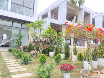 Bán biệt thự đơn lập góc 310m2 giá 7,5 tỷ dự án ivory villas   resort tặng kèm bể bơi   sân vườn 1