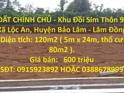 Cần tuyển nhân viên phụ gội đầu chưa biết được hướng dẫn có chỗ ăn ở 7961