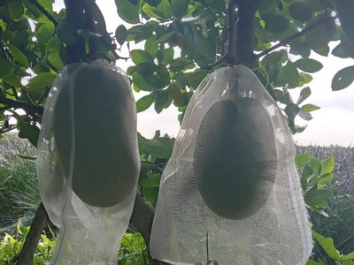 Cần tuyển nhân viên phụ gội đầu chưa biết được hướng dẫn có chỗ ăn ở 8811