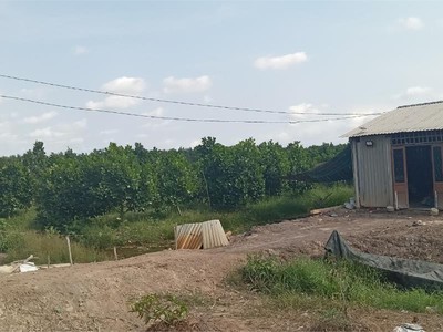 Cần tuyển nhân viên phụ gội đầu chưa biết được hướng dẫn có chỗ ăn ở 8813