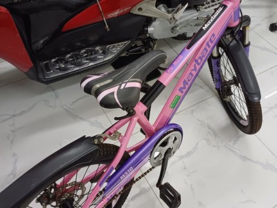 Bán xe đạp thể thao cho em bé, xuất xứ Việt nam 5