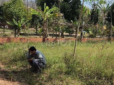 Cần tuyển nhân viên phụ gội đầu chưa biết được hướng dẫn có chỗ ăn ở 9662