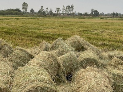 Cần tuyển nhân viên phụ gội đầu chưa biết được hướng dẫn có chỗ ăn ở 11713