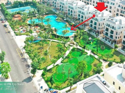 Lịch sử tái hiện 1 lần tại vin hưng yên- biệt thự đơn lập rẻ nhất thị trường chỉ 24 tỷ 1