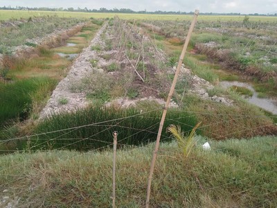 Cần tuyển nhân viên phụ gội đầu chưa biết được hướng dẫn có chỗ ăn ở 10662