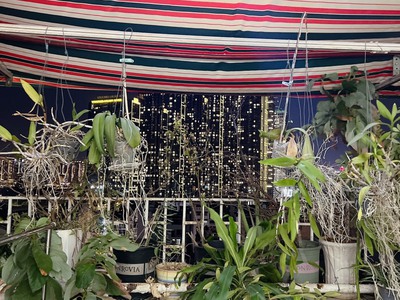 Bán căn hộ cc 76, đường ngô tất tố, phường 19, bình thạnh, hồ chí minh. 2