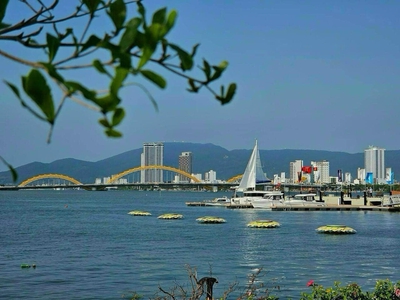 Chính thức nhận đặt chỗ căn hộ mặt tiền sông Hàn, sát cầu Rồng, giá đầu tư chỉ từ 700tr 0