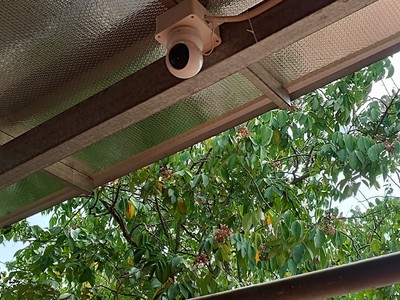  Săn Lùng An Ninh: Cofull Solution - Giải Pháp Camera Ninh Thuận 1