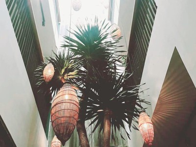 Bán tòa căn hộ 250m2 dòng tiền 50 triệu đường hồ xuân hương, ngũ hành sơn, đà nẵng giá chỉ 1x tỷ 3