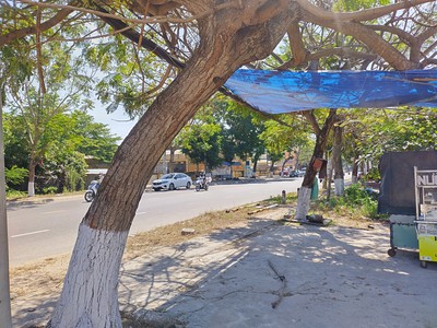 Cần bán 2 lô liền kề rộng 17m dt 663 m2 mặt tiền đường lớn trung tâm Phan Thiết, Bình Thuận 1