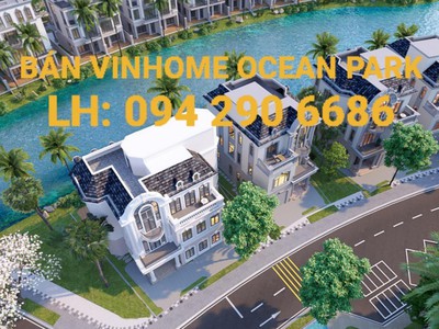 Vinhomes ocean park 2 quỹ căn đẹp chiết khấu 19,3, tặng xe vf9 giá 2,2 tỷ. đơn giá 100tr/m2. 0