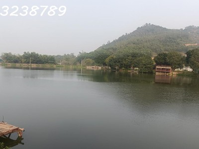 Mặt đường nhựa trục chính xã phú mãn kinh cực dỉnh tài chính nhỉnh tỷ sở hữu 100mfull thổ 1