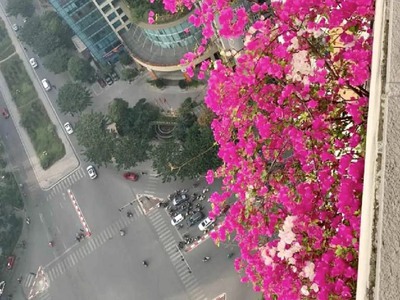 Cực hot  căn hộ đẹp 120m2 lô góc, view ngã tư hàm nghi có chỗ để ô tô - 6,3 tỷ - tin thật không ảo 3