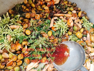 Siro Ho, Cao ho Thảo Mộc Quỳnh 2