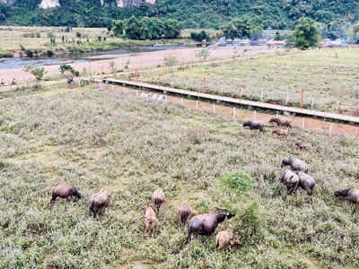 Cần sang nhượng homestay đang kinh doanh kim bôi, hoà bình . 3