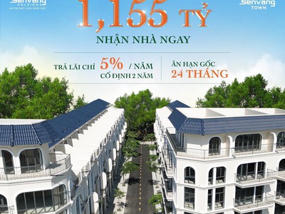 Bán nhà phố thương mại liền kề khu sầm uất sen vàng - town, bình chánh 2